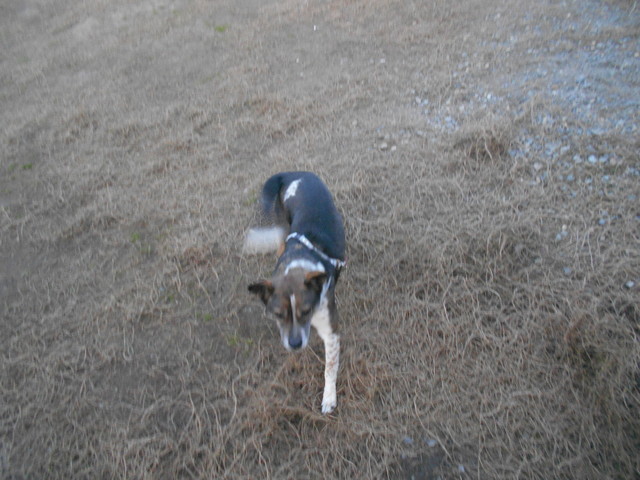 DSCN0557.JPG