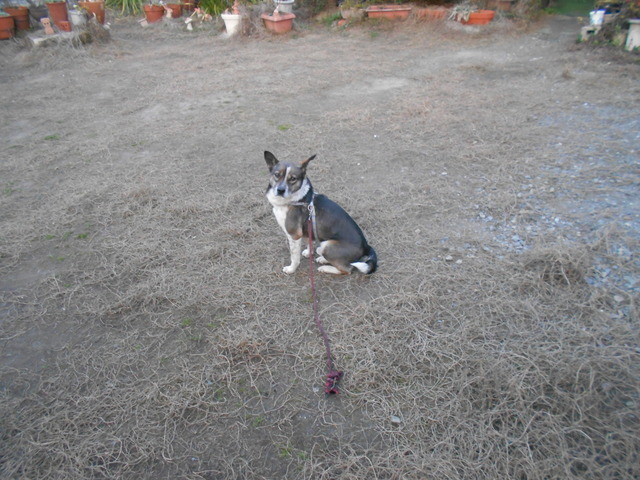 DSCN0561.JPG