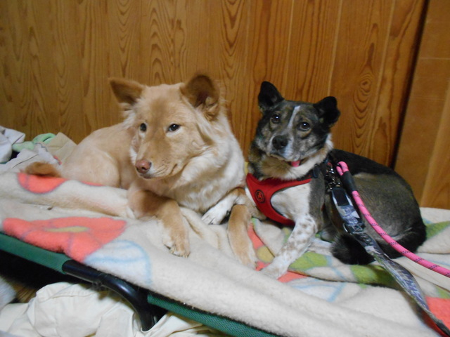 DSCN0593.JPG