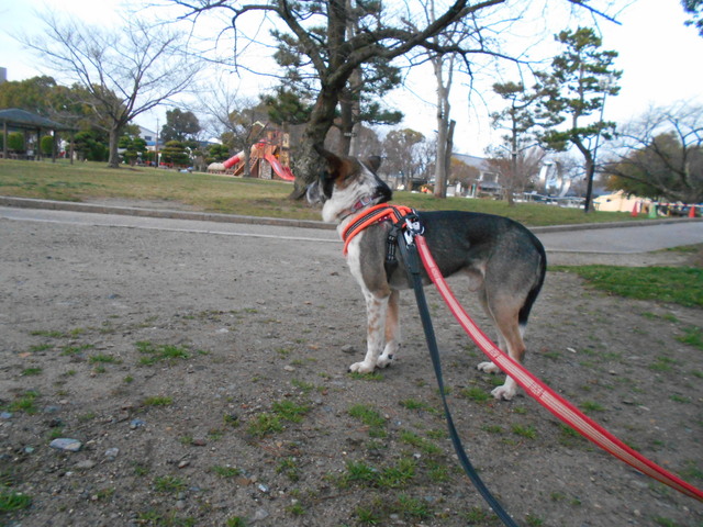 DSCN2486.JPG