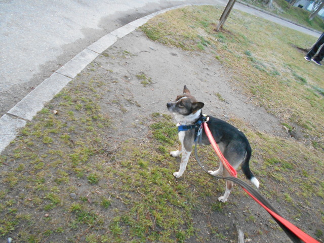 DSCN2790.JPG