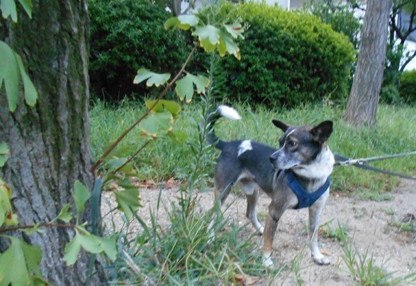 DSCN5941.jpg