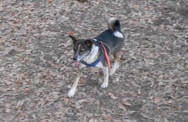 DSCN7990.JPG