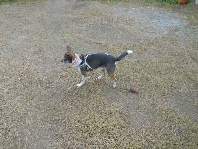 DSCN8110.JPG