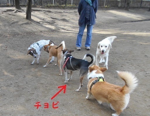 サイズ01.jpg