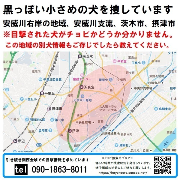 目撃9.03.jpg